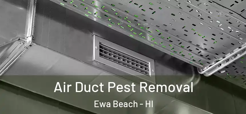  Air Duct Pest Removal Ewa Beach - HI