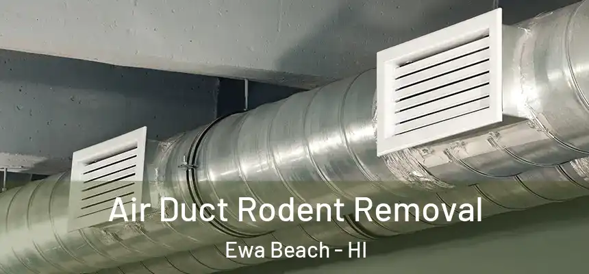 Air Duct Rodent Removal Ewa Beach - HI