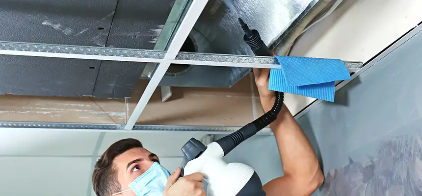 Our Air Duct Rodent Removal Services in Ewa Beach, HI