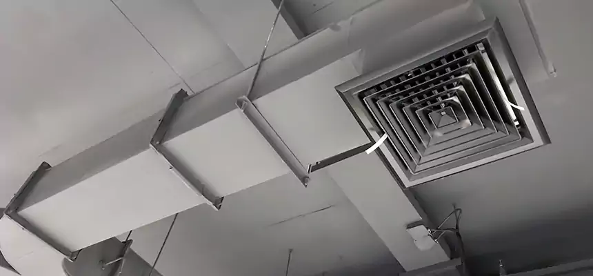 Restorative Allergy Relief Vent Cleaning – Coil, Blower & Housing Detail in Ewa Beach