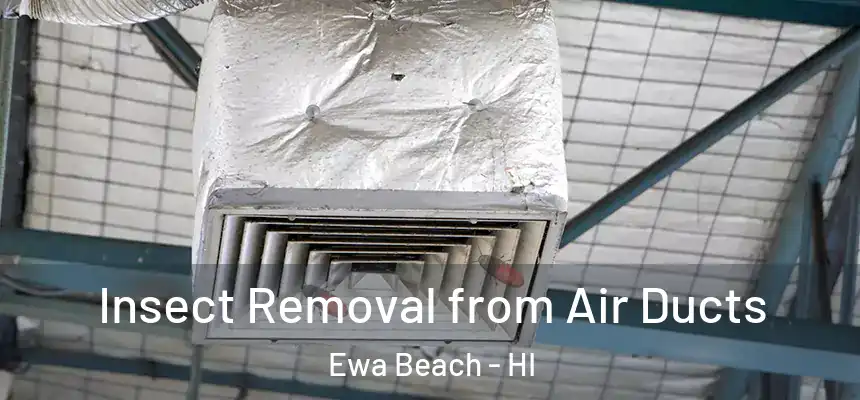  Insect Removal from Air Ducts Ewa Beach - HI