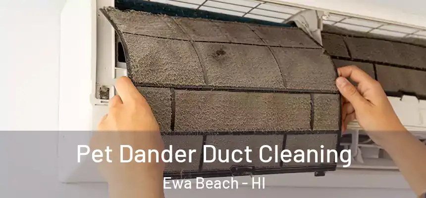 Pet Dander Duct Cleaning Ewa Beach - HI