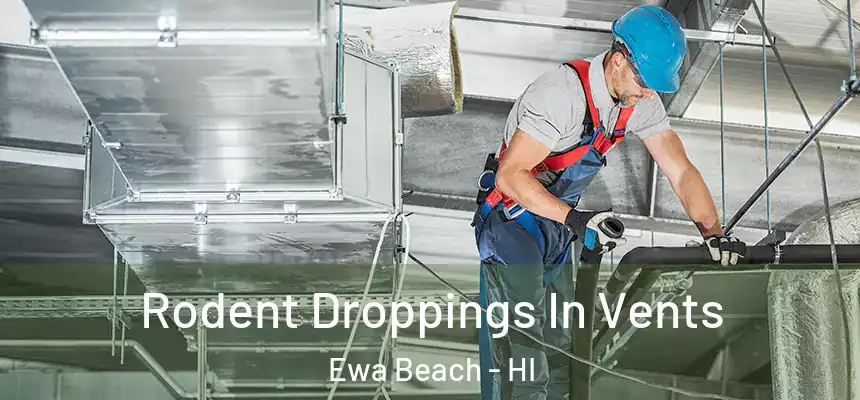  Rodent Droppings In Vents Ewa Beach - HI