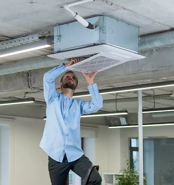 Advanced Rodent Droppings In Vents in Ewa Beach, HI