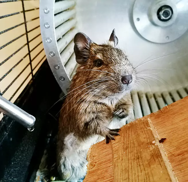 Why Homeowners & Businesses Trust Us Ewa Beach, HI?