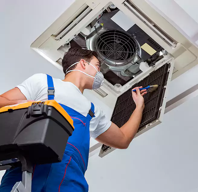 Why Homeowners & Businesses Trust Us in Ewa Beach, HI