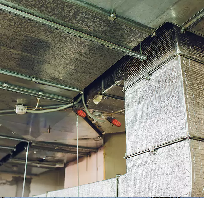 Why Homeowners & Businesses Trust Us Ewa Beach, HI?