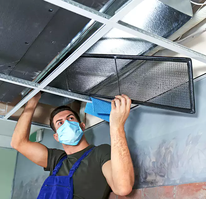 Why Homeowners Businesses Trust Us in Ewa Beach, HI